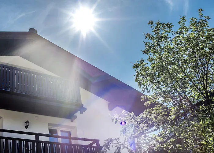 阿尔彭旅游豪斯瓦萨梅尔旅馆 4*