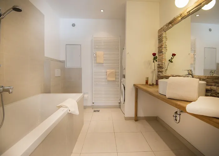 招待所 阿尔彭旅游豪斯瓦萨梅尔旅馆 巴特霍夫加施泰因